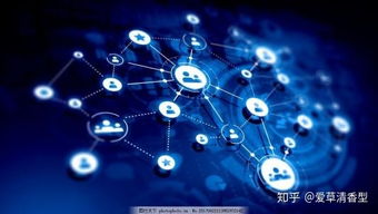 互聯(lián)網(wǎng)小白轉行自媒體 從零開始探索互聯(lián)網(wǎng)數(shù)據(jù)服務之路